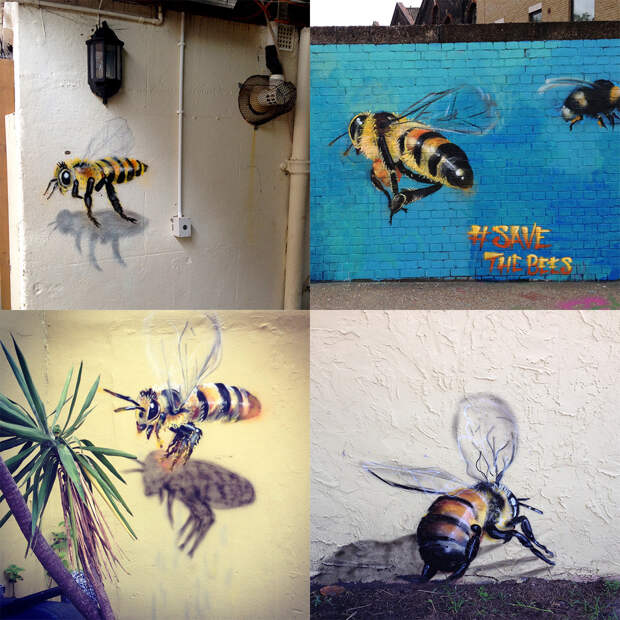 Спасение пчел посредством стрит-арта Луис Масаи Мишель, в мире, дома, насекомые, пчелы, рисунок, стрит-арт, художник