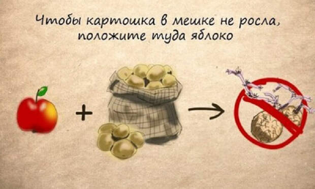 11 бытовых хитростей, которые сильно упростят жизнь 11 бытовых хитростей, которые сильно упростят жизнь