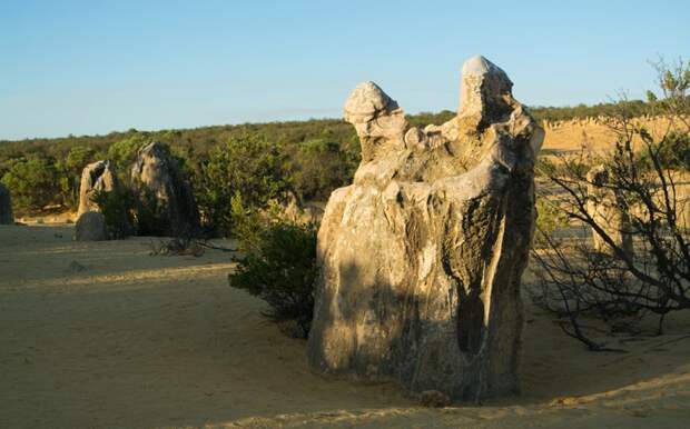Пинаклс: пустыня остроконечных башенок австралия, пустыни, путешествия