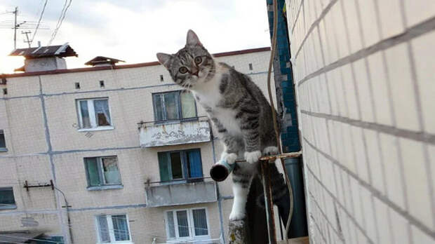 Три балкона