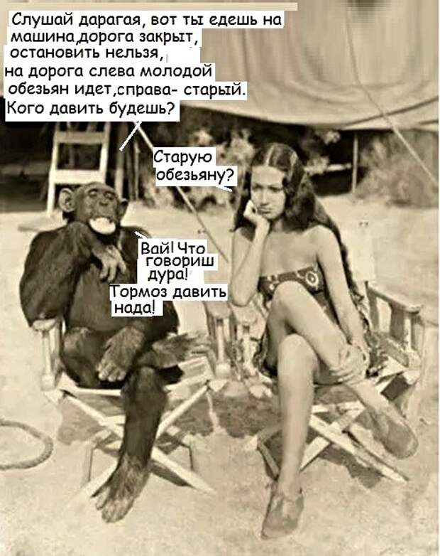 Юмор, юмор, юмор... Юмор, юмор, юмор...