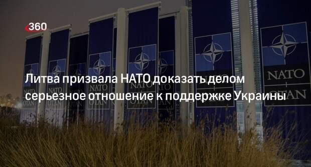 Глава МИД Литвы Ландсбергис: НАТО должен показать свою поддержку Украины