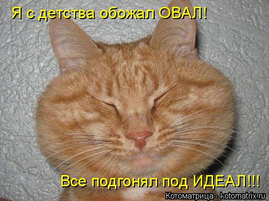 Котоматрица: Я с детства обожал ОВАЛ! Все подгонял под ИДЕАЛ!!!