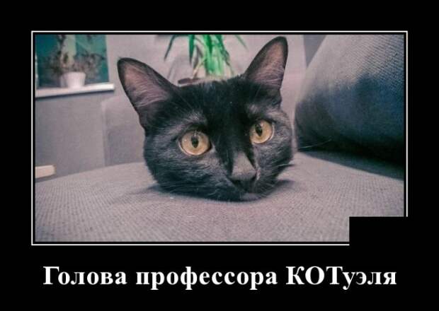 Забавные и прикольные демотиваторы для хорошего настроения