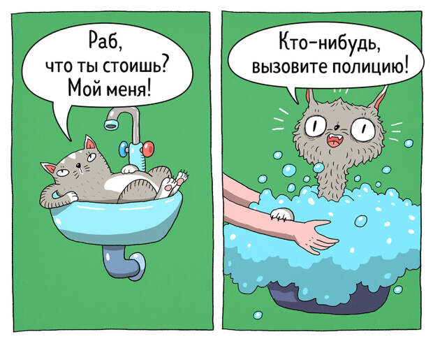 14 комиксов о том, что коты — самые противоречивые создания на планете