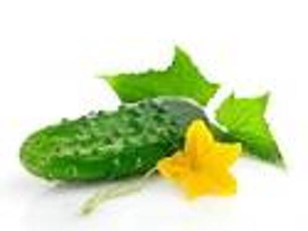 images (125x94, 2Kb)