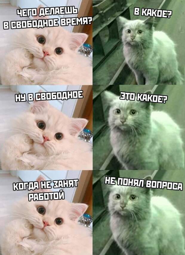 www.vsyako.net