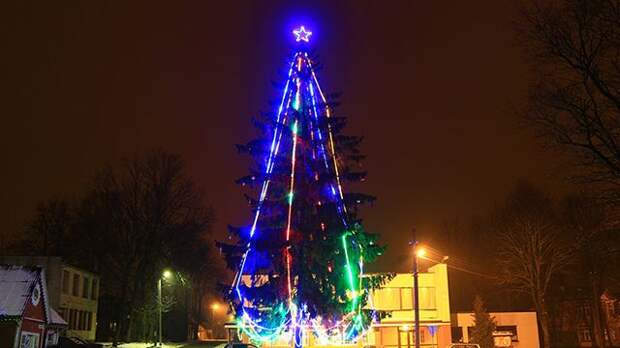 В Литве мэр попытался снять "советскую" звезду с новогодней елки