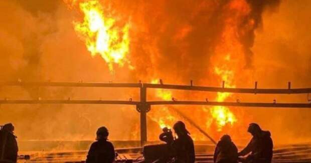 Заявление Минобороны: на что пошли ВСУ ради разжигания конфликта?