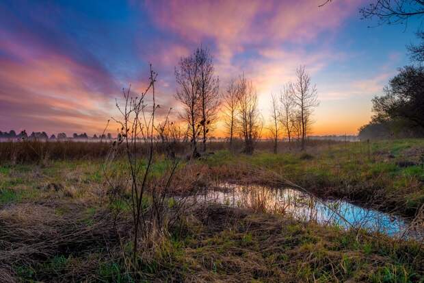 Эффективные методы очистки болотных лугов от радиоактивных загрязнений предложили в России