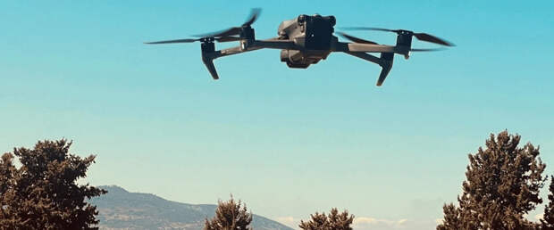 Израильский стартап начал поставки дронов-пастухов с ИИ для выпаса скота