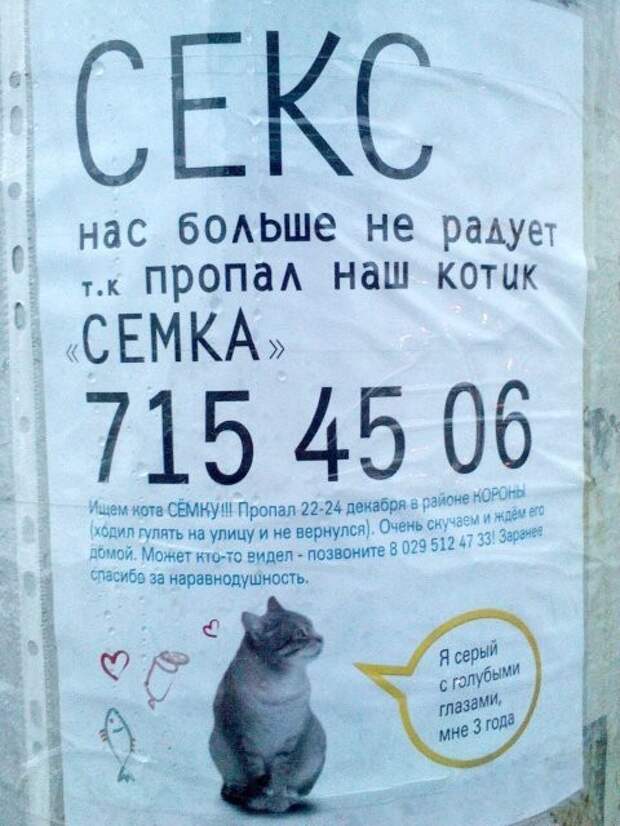 Прикольные объявления