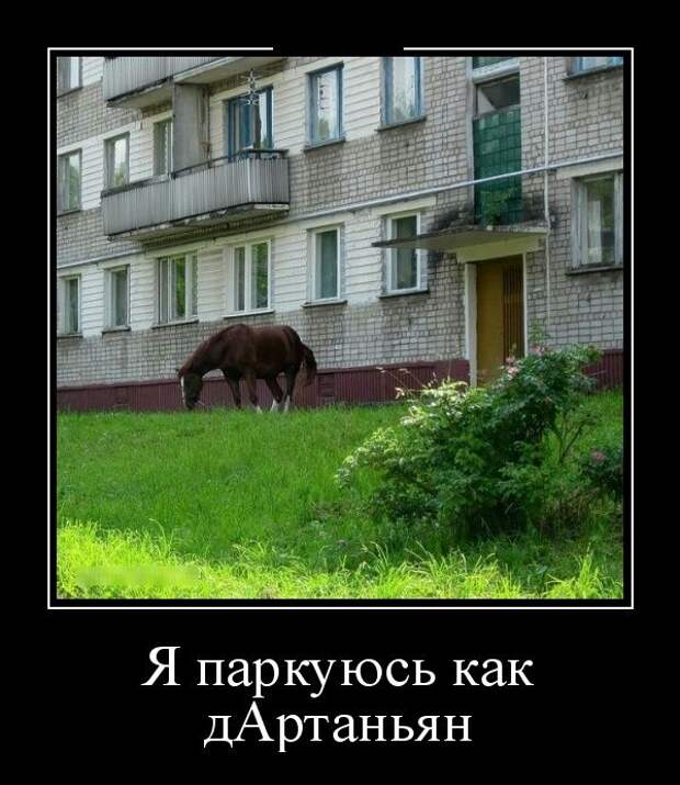 Демотиваторы