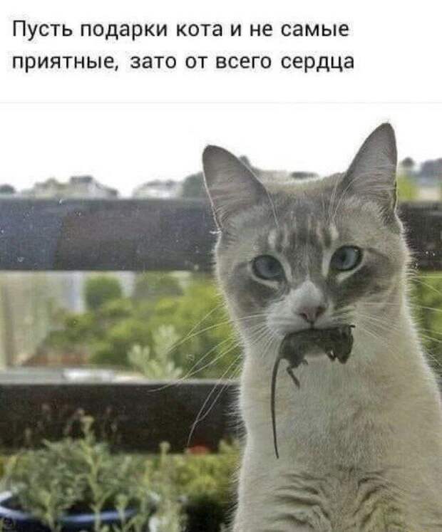 Подарок, от которого нельзя отказаться..)