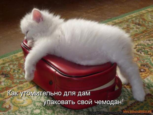 Уфф!!! Ну наконец-то! Котоматрицы великолепные, каждая с улыбкой и хорошим настроением!