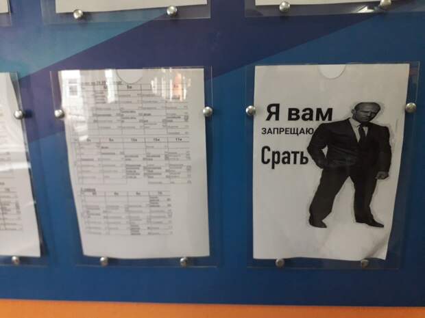 Я вам запрещаю срать