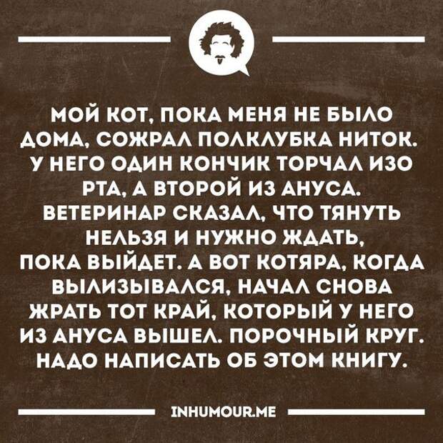 Смешные открытки, которые зарядят позитивом