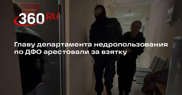 Главу департамента недропользования по ДФО арестовали за взятку