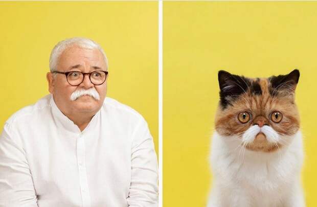 Фотограф делает снимки людей и котов, которые выглядят как двойники | Канобу - Изображение 2