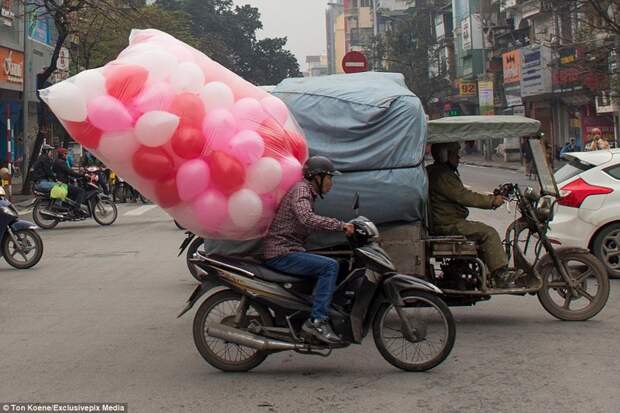Эти бесстрашные вьетнамцы могут перевозить на мопедах всё что угодно вьетнамцы, перевозка