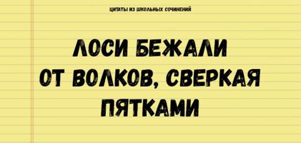 Цитаты из школьных сочинений, которые стоит сохранить для потомков