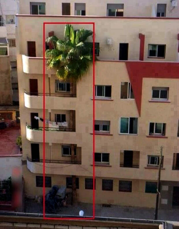 Жизнь замечательных людей: 18 уморительных фотографий, которые заставят посмеяться от души