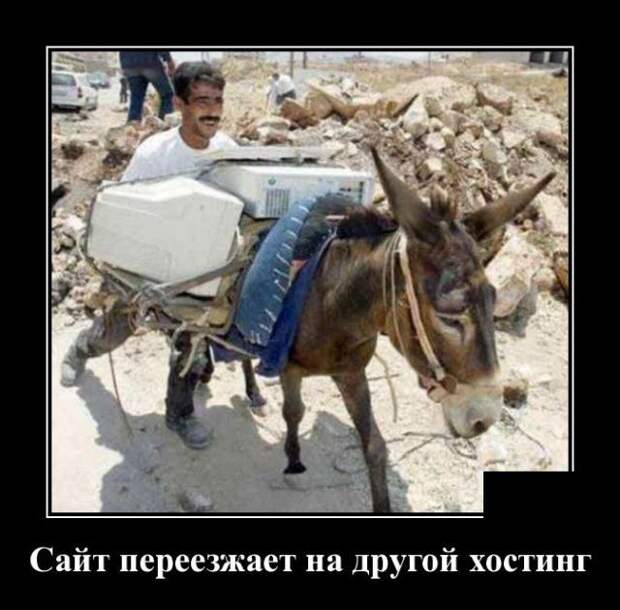 demotivatory-demotivator-smeshnye-demotivatory-demotivator-so-smyslom