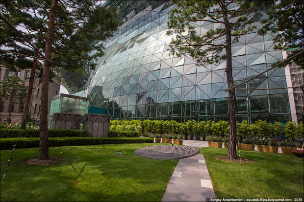 Мэри Сеула / Seoul City Hall