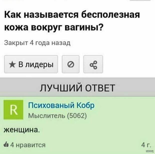 Хочу всё знать: лучшие ответы на непростые вопросы Хочу всё знать: лучшие ответы на непростые вопросы
