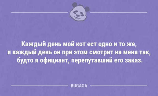 Пятничные анекдоты (9 шт)