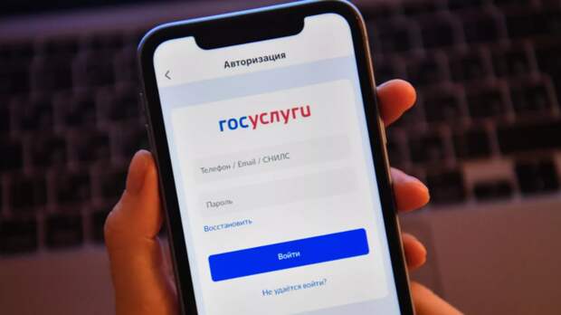 На «Госуслугах» может появиться сервис знакомств для создания семьи