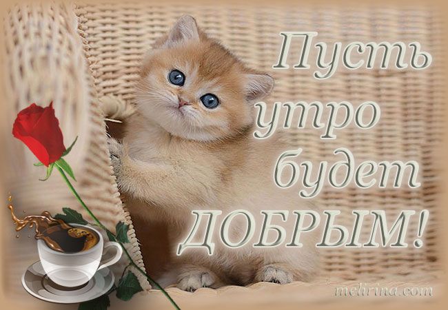 Доброе утро! Доброе утро!