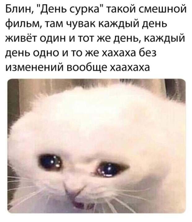 www.vsyako.net