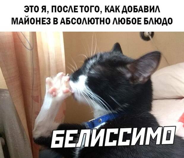 Смешные картинки 25 марта 2021 года