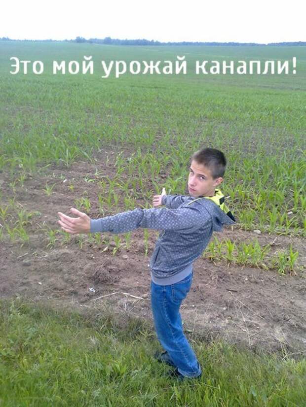 Приколы