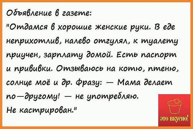 В интеллигентной семье жена встречает пьяного мужа: - Что пил, дорогой?.. В интеллигентной семье жена встречает пьяного мужа: - Что пил, дорогой?..