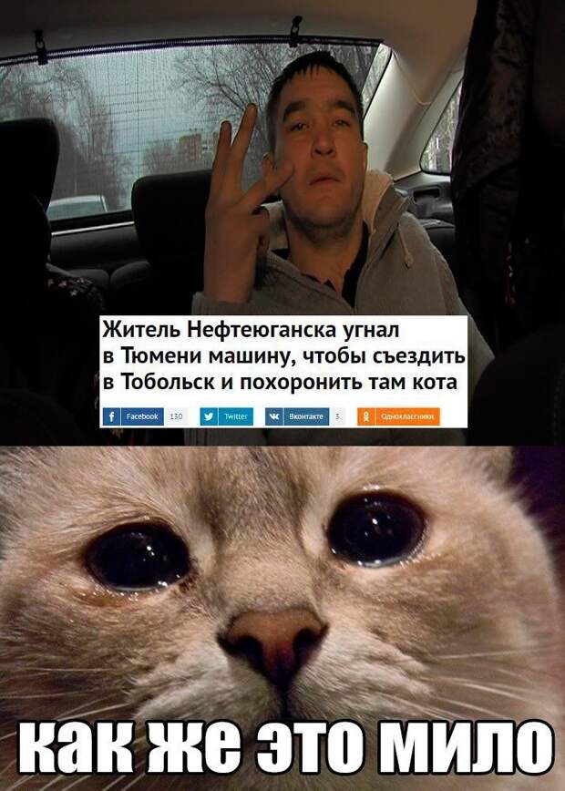 Смешное в картинках