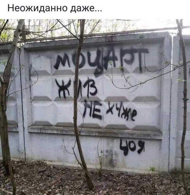 kartinok-prikolnyh-podborka-kartinki-smeshnye-kartinki-fotoprikoly