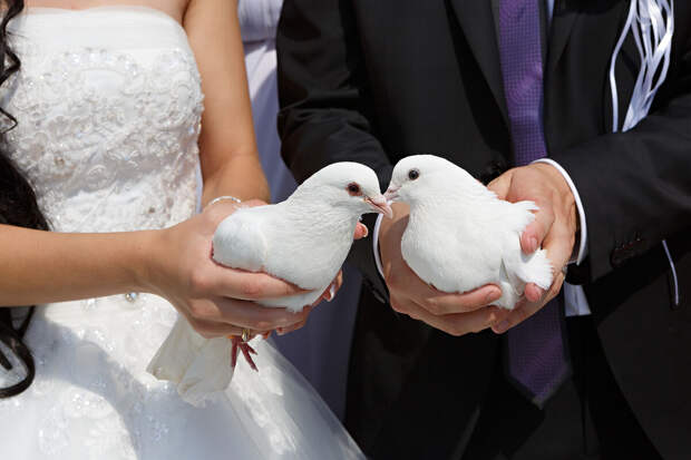 Психолог Чудова: на свадьбе не стоит обращать внимание на мелкие недостатки