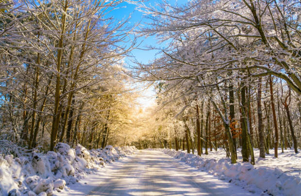 Астрономы рассказали о влиянии сближения Земли и Солнца на погодные условия