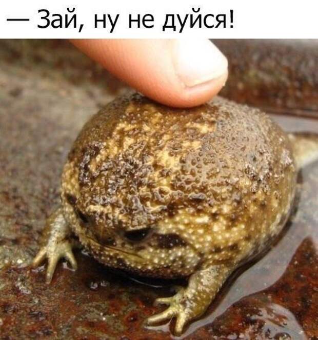Позитивный пост+ 152 Позитивный пост+ 152