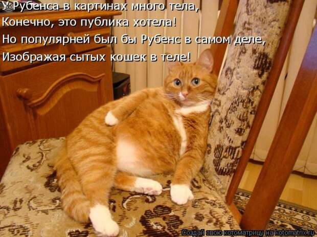 Приколы в котоматрице 22