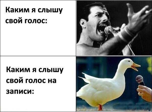 Смешные картинки с надписями Смешные картинки с надписями прикол, юмор