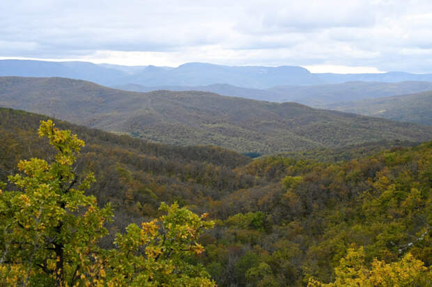 Погода 14 ноября: днём до +12