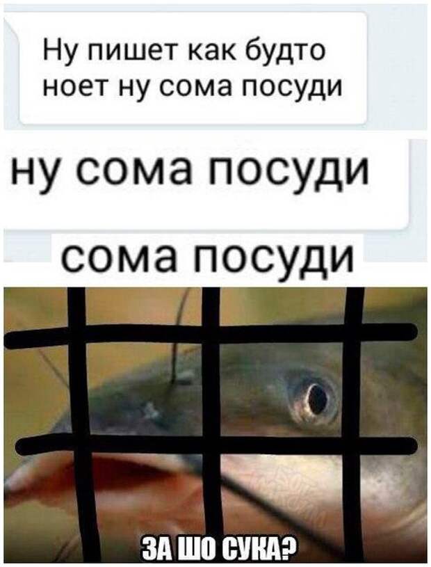 Картинки с глубочайшим жизненным смыслом