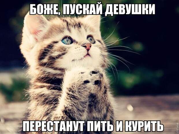 Прикольные картинки с надписями для настроения (10 фото)