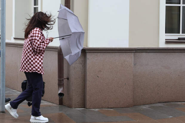 Гроза и сильный ветер ожидаются в Москве во вторник