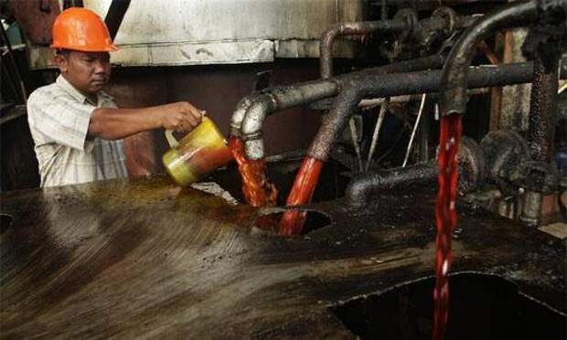 Экономический рывок: в Россию ввезен миллион тонн пальмового масла