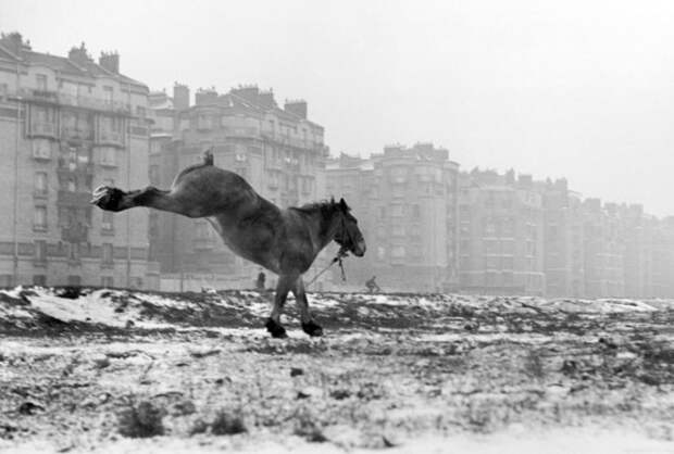 Порт-де-Ванв, 1951 год. Автор: Sabine Weiss.