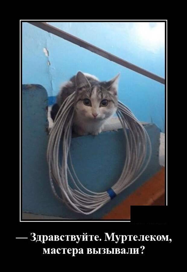 Демотиваторы смешные